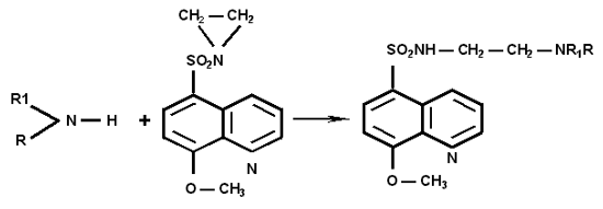 formula7